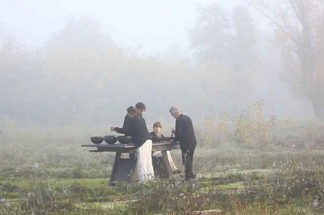 in the mist